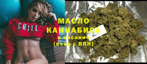 индика Новодвинск