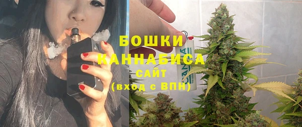 Альфа ПВП Нея